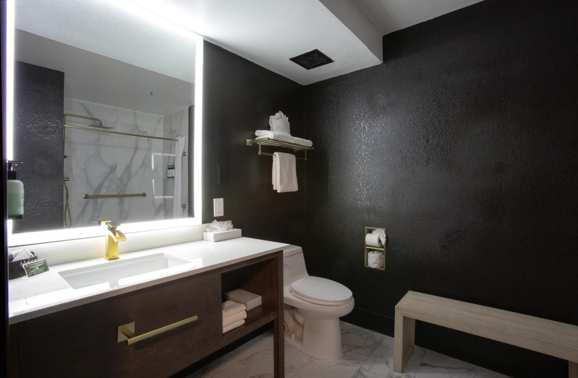 King Wellness Suite Roll shower Accessible or Non-Smoking