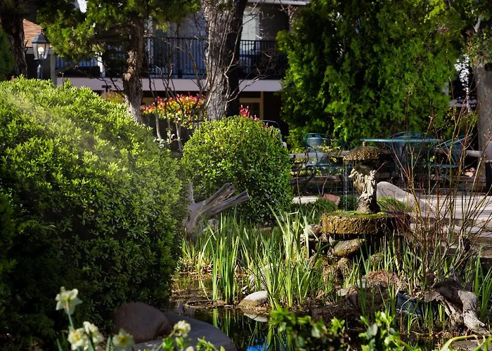 Sedona Pet Friendly HotelsSky Ranch Lodge